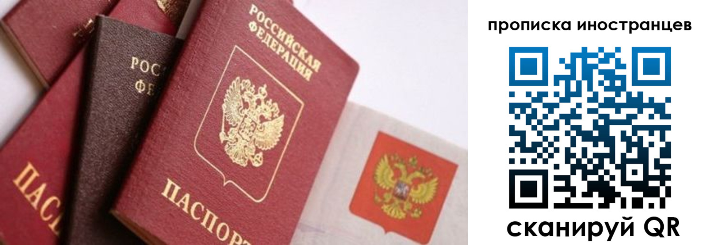 регистрация для школы в Владимире